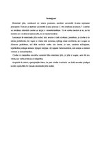 Prakses atskaite 'Ierīces novērtējums pēc universālā dizaina principiem', 4.