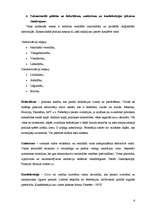 Konspekts 'Politiskās varas organizācijas formas - politiskie režīmi un valsts iekārtas for', 6.