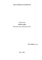 Paraugs 'Uzņēmuma SWOT analīze', 1.