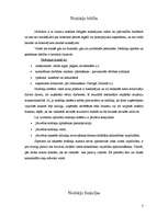 Referāts 'Nodokļu būtība, funkcijas veidi un likmes', 3.