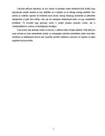 Konspekts 'Norobežotu mugurkaulnieku ķermeņa izmēru evolūcija', 5.