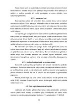 Prakses atskaite 'Prakses atskaite finanšu grāmatvedībā', 18.