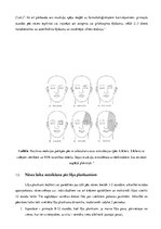 Referāts 'Nāves iestāšanās laika noteikšanas iespējas  un jaunākās metodes mirušas persona', 7.