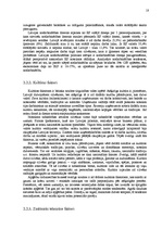 Referāts 'Tirgus izpēte uzņēmumam "S"', 18.