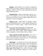 Referāts 'Rīgas rajona dabas objekti un to izmantošana tūrismā', 7.