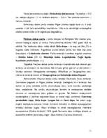 Referāts 'Rīgas rajona dabas objekti un to izmantošana tūrismā', 11.