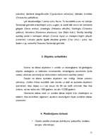 Referāts 'Rīgas rajona dabas objekti un to izmantošana tūrismā', 15.