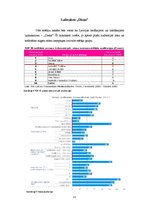 Paraugs 'Reklāmas projekts enerģijas dzērienam "Buzz"', 11.