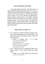 Paraugs 'Reklāmas projekts enerģijas dzērienam "Buzz"', 12.