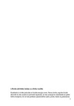 Referāts 'Sporta stundas nozīme skolēna dzīvē', 3.