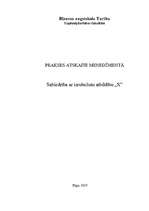 Prakses atskaite 'Menedžments sabiedrībā ar ierobežotu atbildību "X"', 1.