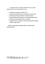 Konspekts 'Bezdarbs. Inflācija', 5.