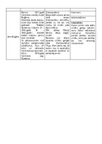 Konspekts 'Pirmie latviešu tautības literāti', 2.