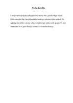 Referāts 'Nafta', 5.