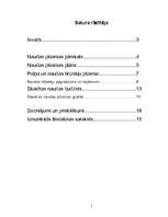 Referāts 'Naudas plūsmas plānošana', 2.