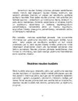 Referāts 'Naudas plūsmas plānošana', 13.