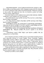 Konspekts 'KI kapitāls un tā uzskaite', 6.