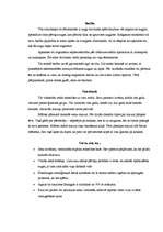 Konspekts 'Titi', 2.