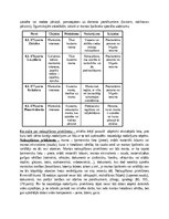 Konspekts '1 un 2 KD NN kvalifikācija maģistros', 3.