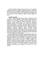 Referāts 'Tirgvedības darbības koncepcijas', 8.