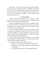 Referāts 'Firma X personāla vadīšana', 5.