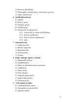 Referāts 'Teritoriālā un attīstības plānošana Latvijā', 17.