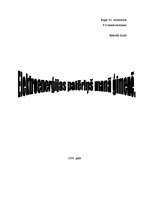 Konspekts 'Elektroenerģijas patēriņš manā ģimenē', 1.