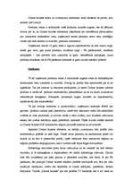 Prakses atskaite 'Mārketinga prakse laikrakstā "Dienas bizness" ', 10.