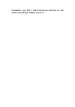 Prakses atskaite 'Mārketinga prakse laikrakstā "Dienas bizness" ', 11.