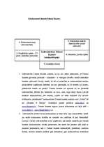 Prakses atskaite 'Mārketinga prakse laikrakstā "Dienas bizness" ', 18.