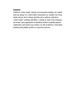 Prakses atskaite 'Mārketinga prakse laikrakstā "Dienas bizness" ', 20.