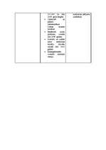 Prakses atskaite 'Mārketinga prakse laikrakstā "Dienas bizness" ', 25.