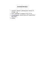 Prakses atskaite 'Mārketinga prakse laikrakstā "Dienas bizness" ', 29.