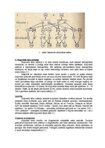 Konspekts 'Cilvēka ģenētiski iedzimtās slimības', 2.