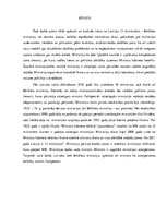 Referāts 'Iekšlietu ministrija', 3.