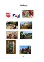 Referāts 'Dobele', 12.