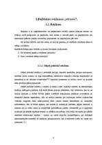 Referāts 'Politiskā reklāma', 11.