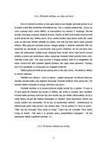 Referāts 'Politiskā reklāma', 18.