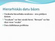 Prezentācija 'Datu bāzes', 8.