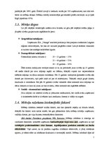 Referāts 'SIA "Vanags" mēbeļu ražotne', 5.