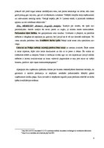 Referāts 'SIA "Vanags" mēbeļu ražotne', 6.