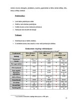 Referāts 'SIA "Vanags" mēbeļu ražotne', 13.