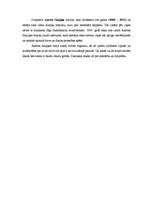 Referāts 'Austra Skujiņa', 3.