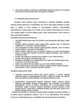 Referāts 'Rūpniecības produkciju nozaru ietekme uz vidi', 6.