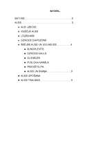 Referāts 'Cilvēka auss uzbūve', 2.