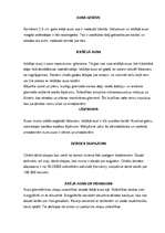 Referāts 'Cilvēka auss uzbūve', 4.