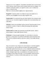 Referāts 'Cilvēka auss uzbūve', 5.