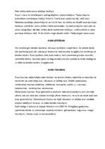 Referāts 'Cilvēka auss uzbūve', 6.