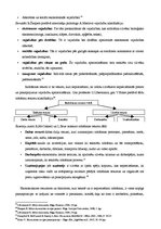 Konspekts 'Ekonomikas priekšmets', 4.