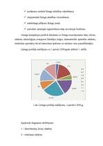 Referāts 'Līzings uzņēmējdarbībā', 7.